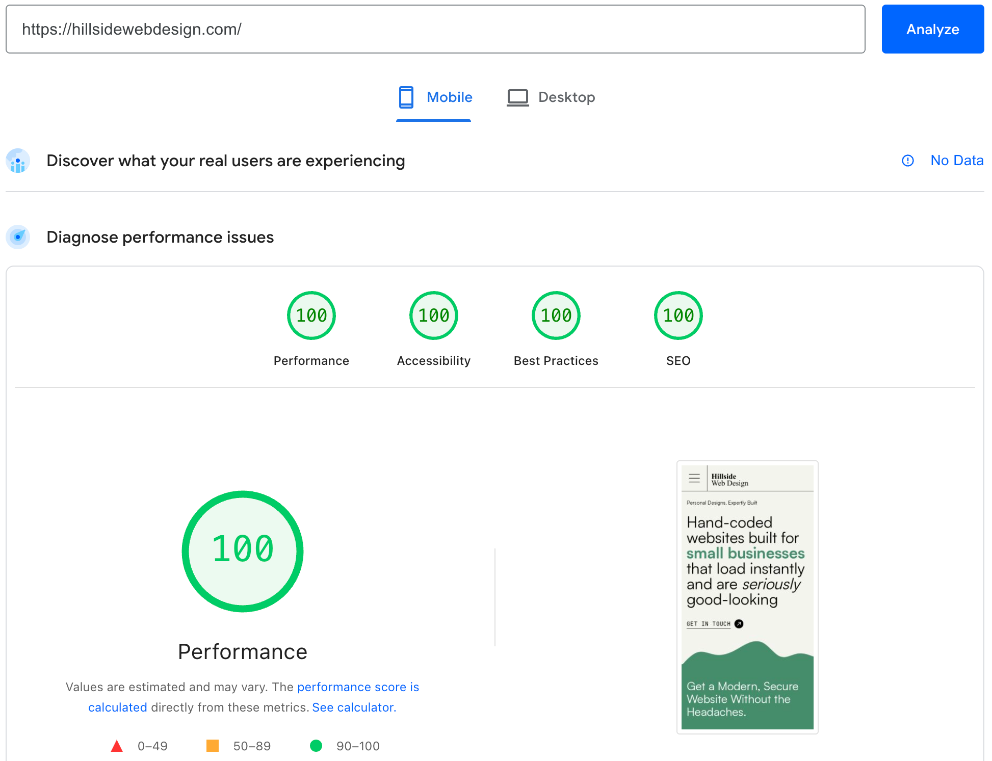 A 100% score PageSpeedInsight page from Google on Hillside's Website
